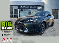 Bild des Angebotes Lexus UX 250h Luxury Line HUD*Schiebedach*SitzMemory