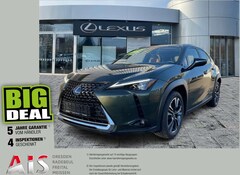 Bild des Angebotes Lexus UX 250h Luxury Line HUD*Schiebedach*SitzMemory