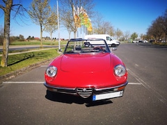 Bild des Angebotes Alfa Romeo Spider Veloce 2000