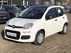 Bild des Angebotes Fiat Panda MY25 1.0 Klima PDC Citypaket