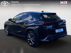 Bild des Angebotes Lexus UX 250h F SPORT Design SHZ