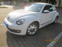 Bild des Angebotes VW Beetle The Beetle 1.2 TSI CUP