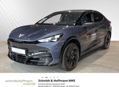 Bild des Angebotes CUPRA Tavascan Endurance Adrenaline Below Zero Klima Navi