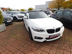 Bild des Angebotes BMW 230 BMW i Cabrio AT M Sport