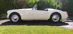 Bild des Angebotes MG MGA