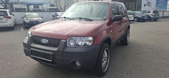 Ford Maverick Basis