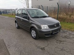 Bild des Angebotes Fiat Panda 1.2 Dynamic