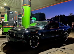 Bild des Angebotes Ford Mustang Mustang Fastback black edition