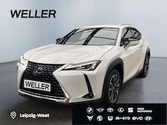 Bild des Angebotes Lexus UX 250h Style Edition *Bi-LED*ACC*CAM*SHZ*CarPlay*