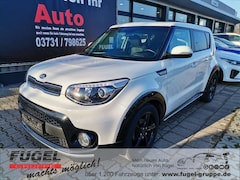 Bild des Angebotes Kia Soul 1.6 Dream Team SHZ|Temp|PDC|Navi