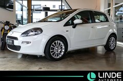 Bild des Angebotes Fiat Punto More |KLIMA|PANO.|PDC|16 ALU