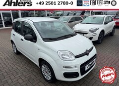 Bild des Angebotes Fiat Panda Easy+ALLWETTER+KLIMA+RADIO+4SITZER+ABS+ESP+
