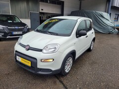 Bild des Angebotes Fiat Panda Base Hybrid 1,0 (sehr gepflegt, 12Monate Garantie)
