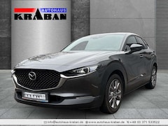 Bild des Angebotes Mazda CX-30 150PS Selection 150PS Selection Selection 2WD