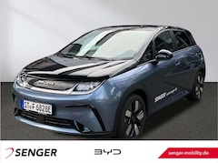 Bild des Angebotes BYD Dolphin Design Panorama 360°-Kamera Keyless LED