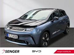 Bild des Angebotes BYD Dolphin Design Panorama 360°-Kamera Keyless LED