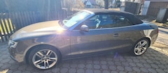 Bild des Angebotes Audi Cabriolet Audi Cabriolet A5 1,8 TFSI Top