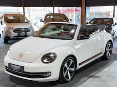 Bild des Angebotes VW New Beetle Cabriolet 60´s Sport DSG