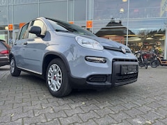 Bild des Angebotes Fiat Panda Base Hybrid