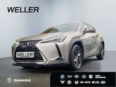 Bild des Angebotes Lexus UX 250h Amazing Edition *Bi-LED*ACC*CAM*CarPlay*