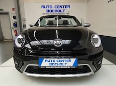 Bild des Angebotes VW Beetle Cabriolet Dune 1.4 TSI Navi*Xenon