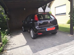 Bild des Angebotes Fiat Punto Basis