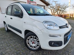 Bild des Angebotes Fiat Panda Easy, KLIMA, TÜV NEU, CITY, 1 Hand