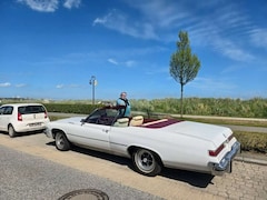 Bild des Angebotes Buick Le Sabre