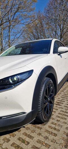 Bild des Angebotes Mazda CX-30 Selection