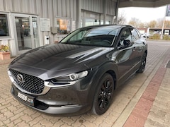 Bild des Angebotes Mazda CX-30 2.5L e-SKYACTIV G 140ps Homura