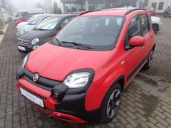 Bild des Angebotes Fiat Panda Red