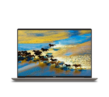 Honor MagicBook 16 2026 aufgeklappt von vorn. Auf dem Display ist eine Fotos einer Herde Wildpferde zu sehen.
