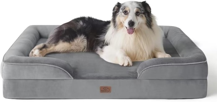 Die besten Black-Friday-Angebote 2025 fr den Hund