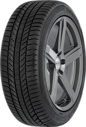 WinterContact TS 870 P 215/55 R17 98V XL