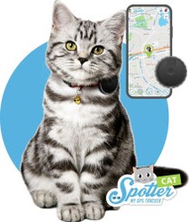 GPS-Tracker für Katzen im Vergleich 2025 - COMPUTER BILD