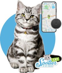 GPS-Tracker für Katzen im Vergleich 2025 - COMPUTER BILD