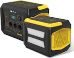Blackbee1000
