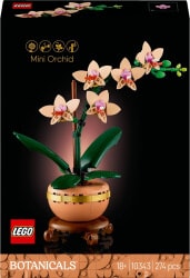 Botanical Collection - Mini-Orchidee (10343)