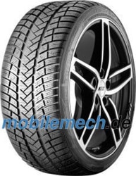 Wintrac Pro 245/40 R19 98W