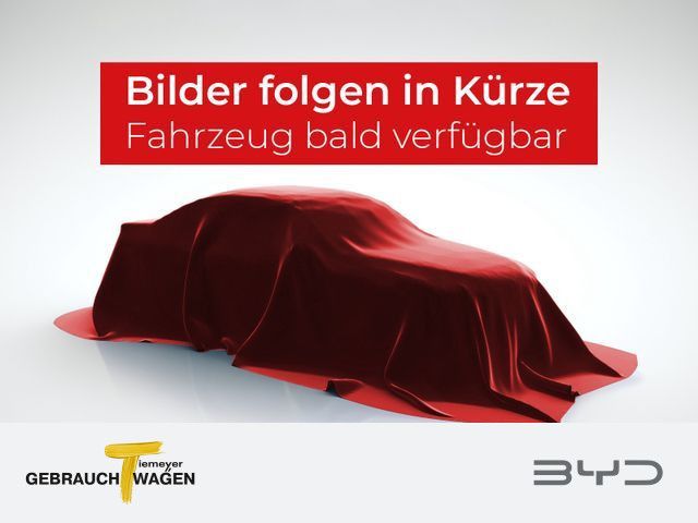 Bild des Angebotes BYD Atto 3 Evo Excellence Excellence