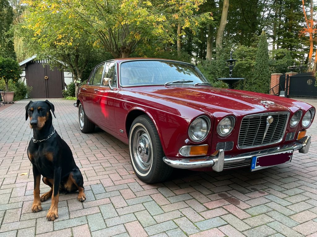 Bild des Angebotes Jaguar XJ6 Serie 1