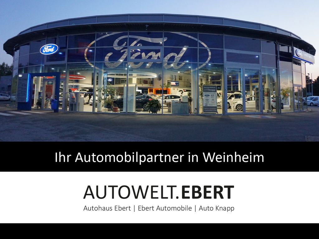 Bild des Angebotes Ford Mustang MACH-E GT AWD/BronzePaket/Panoramadach