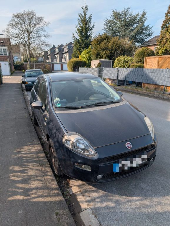 Bild des Angebotes Fiat Punto 1.2 8V YOUNG | 1. Hand | 8-fach bereift