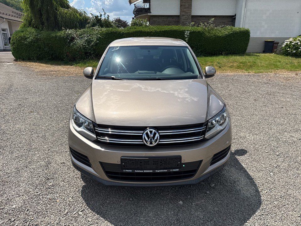 Bild des Angebotes Volkswagen Tiguan Trend & Fun Standheizung