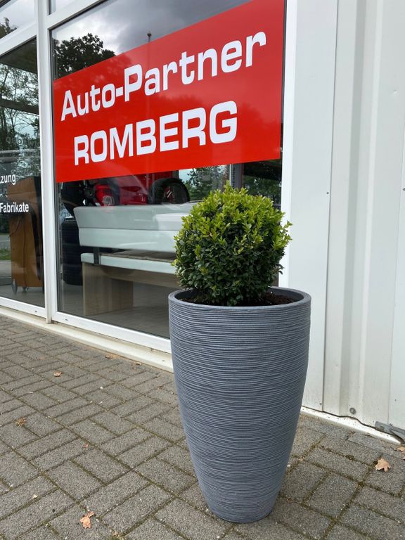 Bild des Angebotes Volkswagen Beetle Cabriolet Club BMT Sport Xenon DSG 20" Si