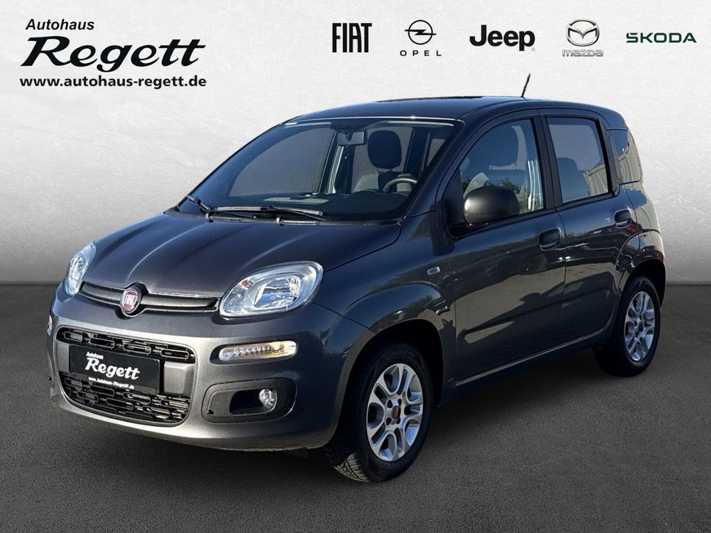 Bild des Angebotes Fiat Panda More 1.2 8V PDC Alu Klima Privacyverglasun
