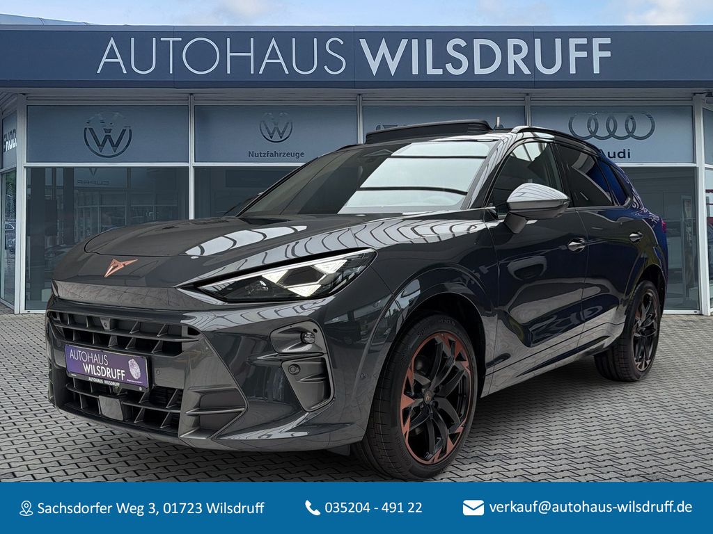 Cupra Terramar 2.0 TSI 4DriveVZ *MATRIX*PANO*NAVI*360*