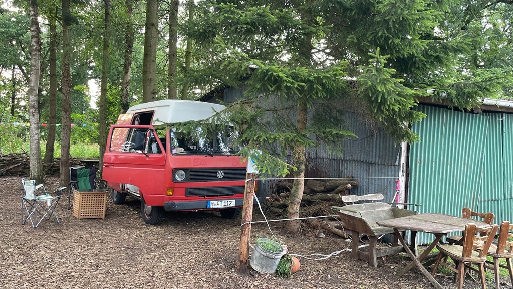 Bild des Angebotes Volkswagen T3