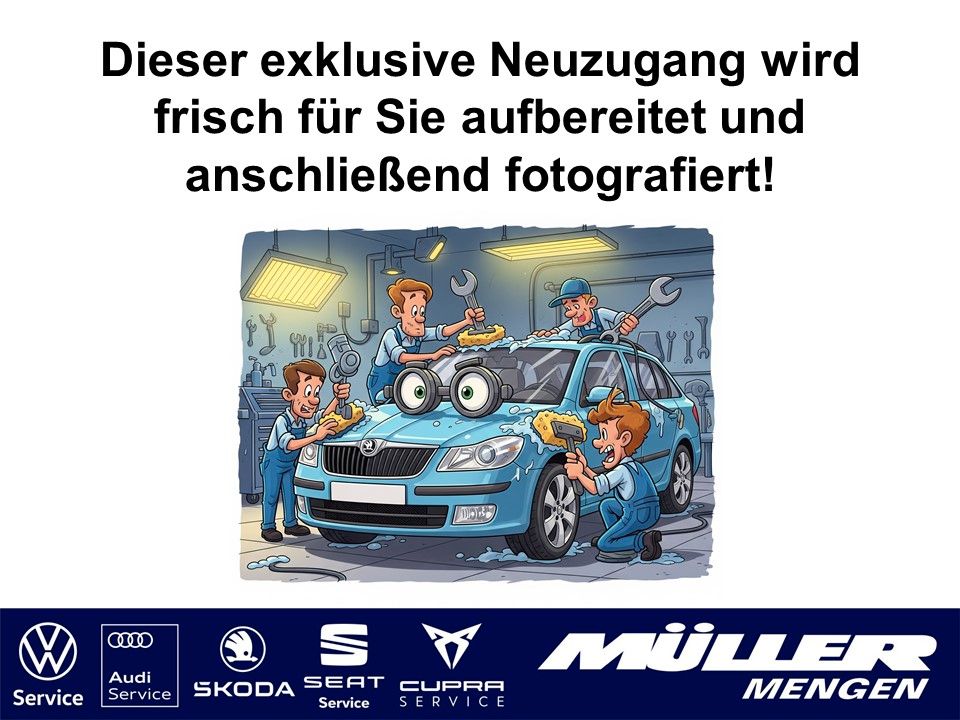 Skoda Citigo e iV Ambition KLIMA/PDC/SITZHZ