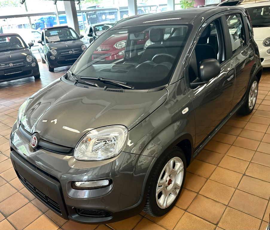 Bild des Angebotes Fiat Panda Base - coole Ausstattung